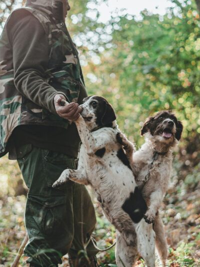 Hunting Dog Trainers